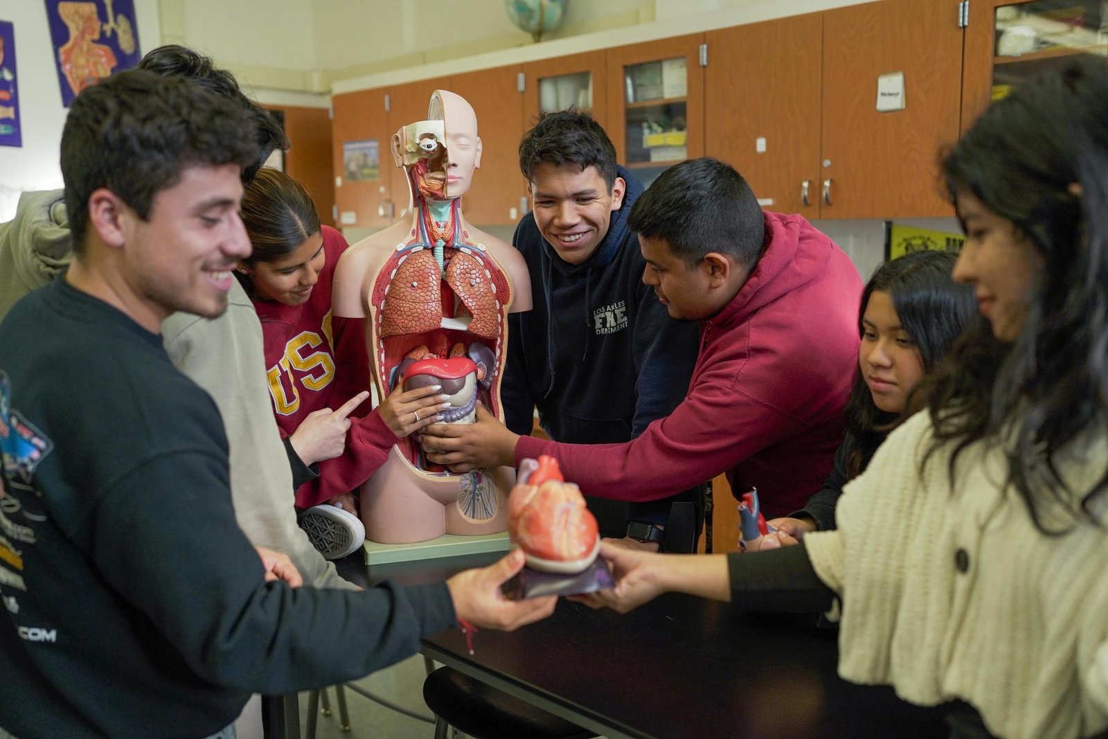 Health Occupations Program